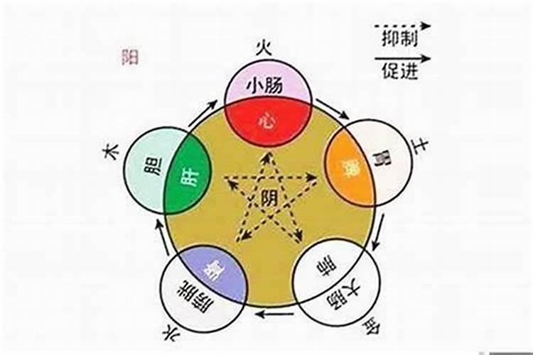 壬寅丁未己卯乙亥这个八字（八字从弱格局是越弱越好）