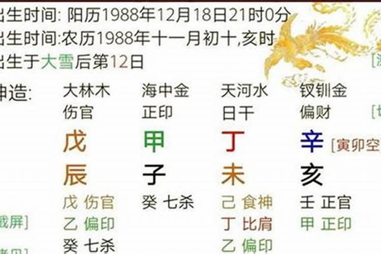 32岁今年属什么生肖