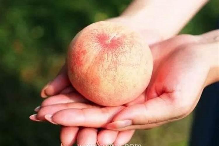 孕妇梦见自己吃桃子是什么预兆