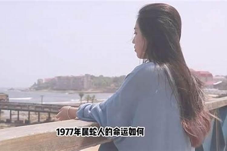 77年属什么星座