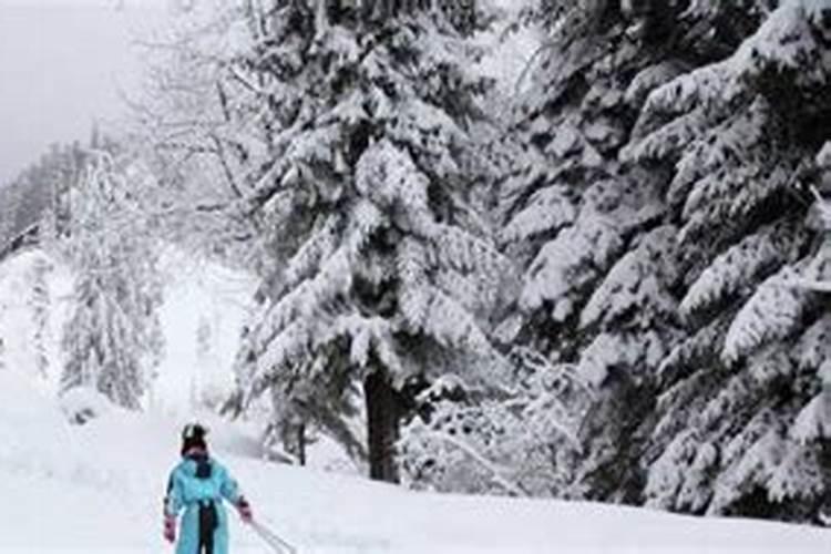 女人梦见下大雪好吗