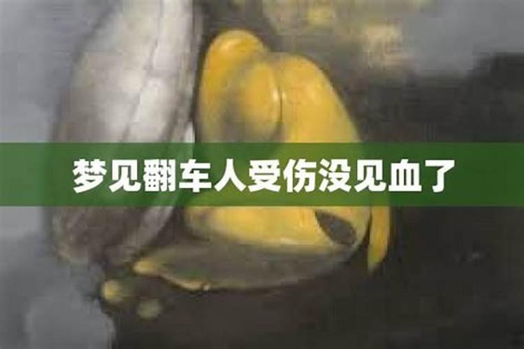 梦见翻车伤人见血了