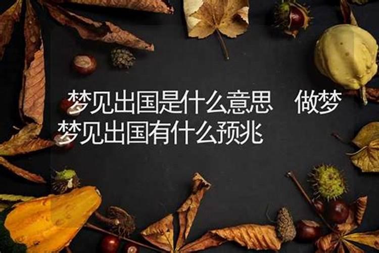 梦见出国是什么意思,好不好,代表什么意思