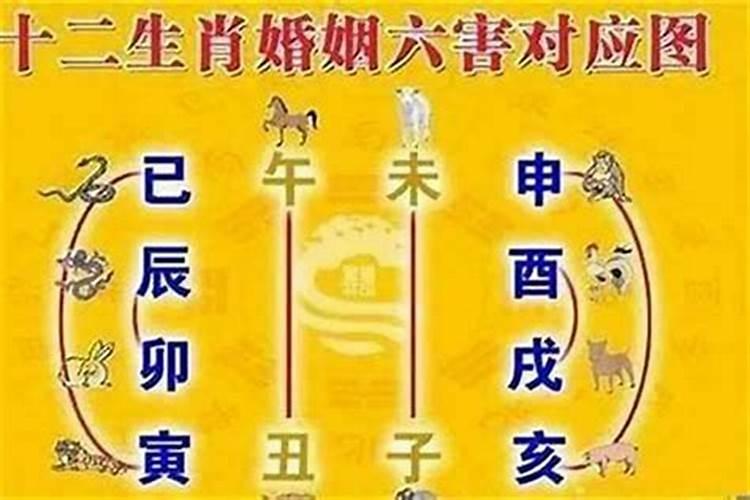 属相婚配宜忌(老梁谈十二属相)