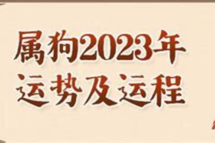 2023年属狗人的全年运势如何