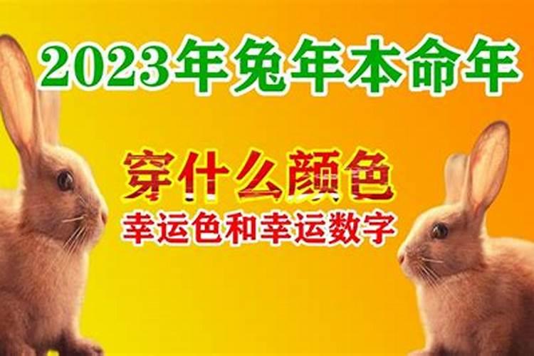 2023兔本命年戴什么首饰好