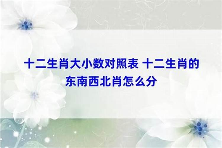 十二生肖合数大小是几到几