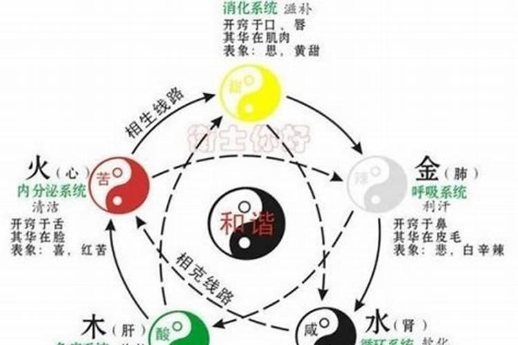 怎么知道五行属什么？怎么看自己五行属于啥属性