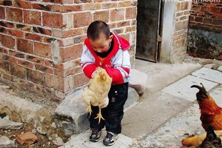 男的梦见下大雨什么预兆解梦