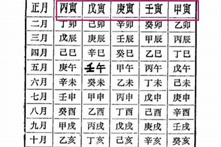 丙寅庚子己酉戊辰八字