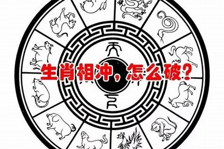 怎么测属相合不合