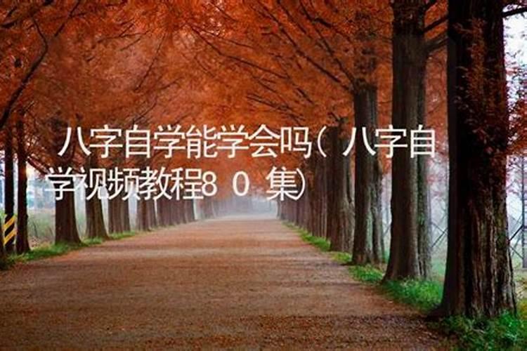 易经自学能学会吗