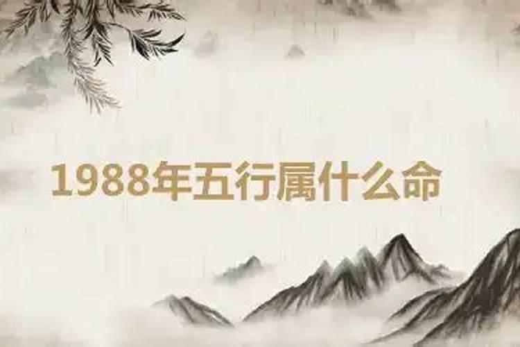 1988年属什么五行命格