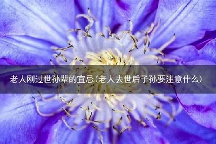 老人过世后人运气