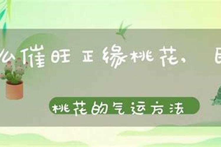 如何增加正缘桃花运