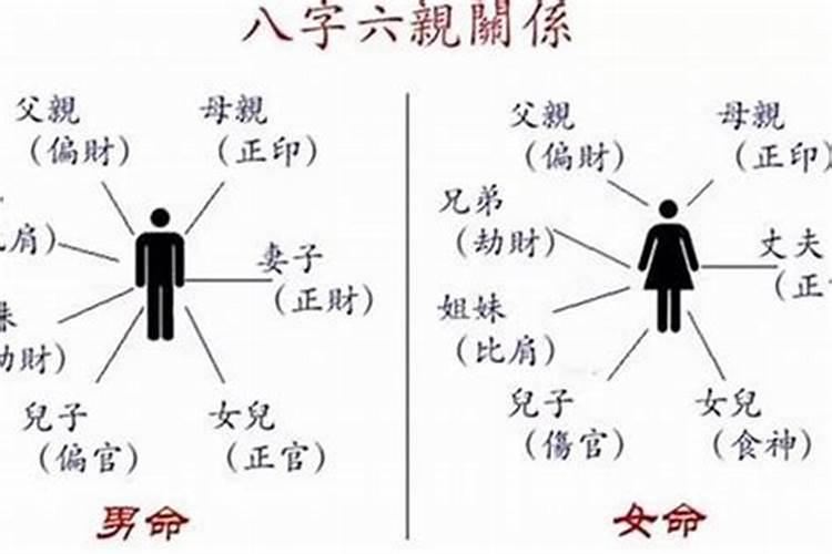 八字看子女情况