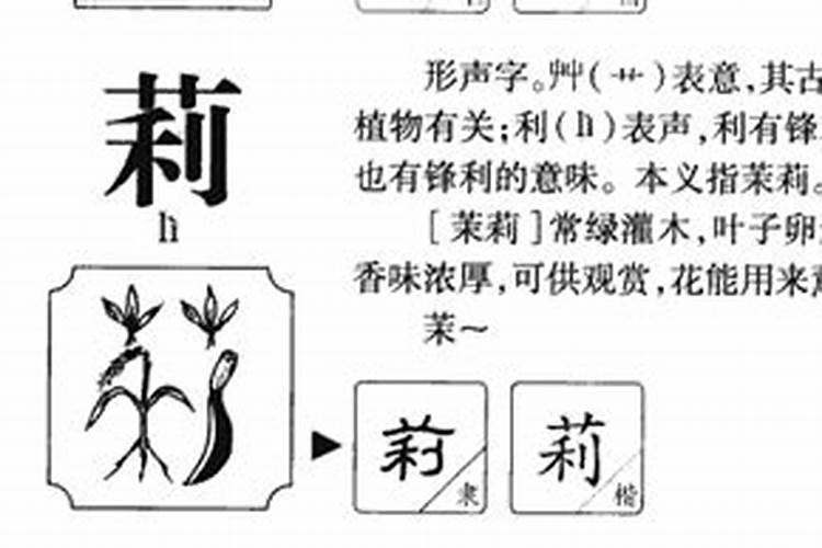 莉字五行属什么