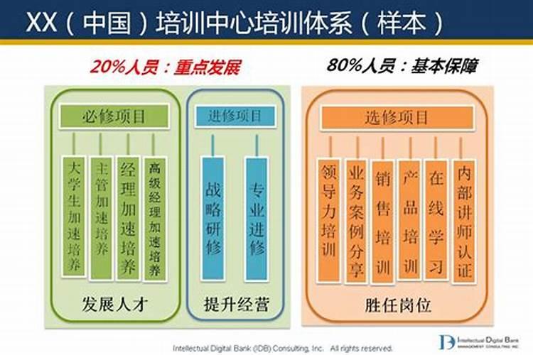 植物的特点和外形