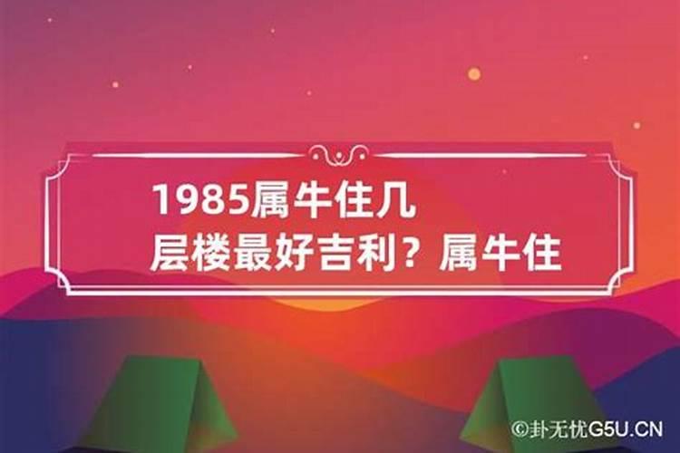 1997年的牛住东户好还是西户好