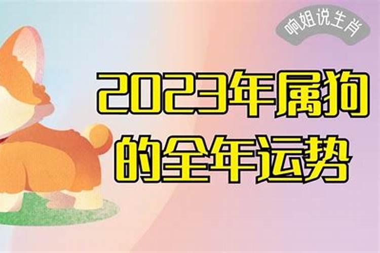 2023年属狗的全年运势