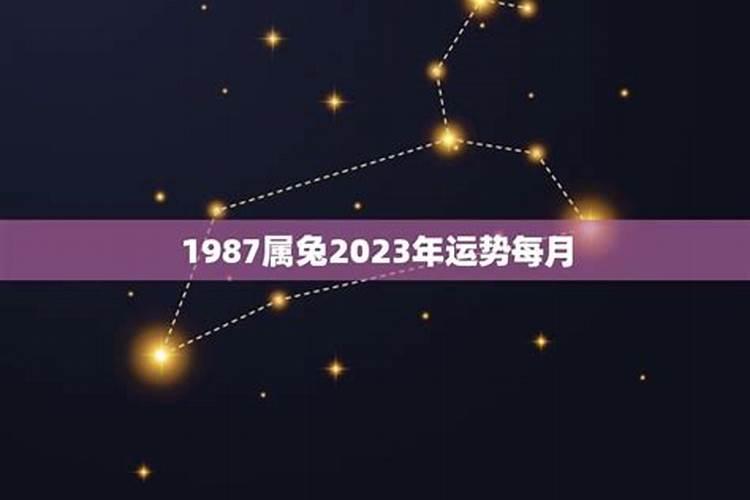 87年属兔2023年几岁