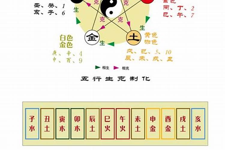 10的数字五行属什么