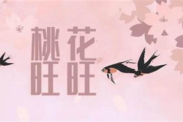 桃花测试八字