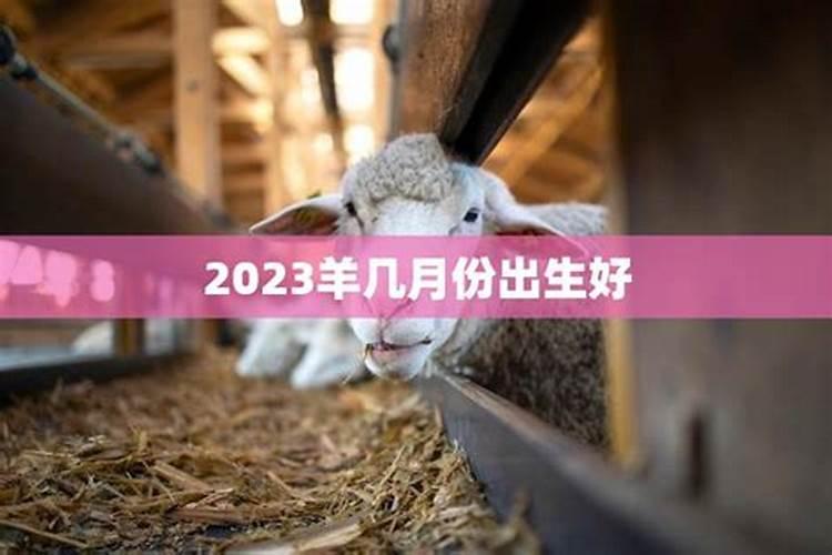 2015羊几月出生最好命