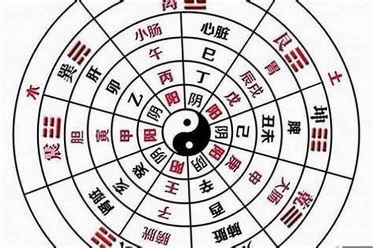 怎么看自己八字阴阳不合