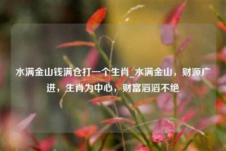 满是什么生肖