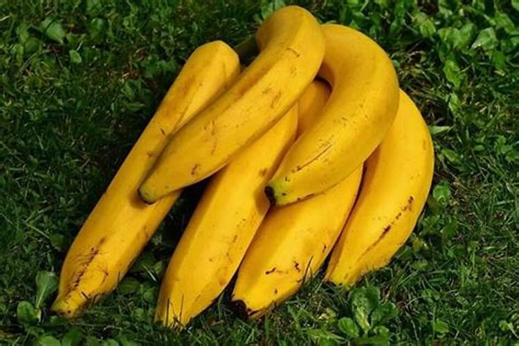 梦到买香蕉是什么意思