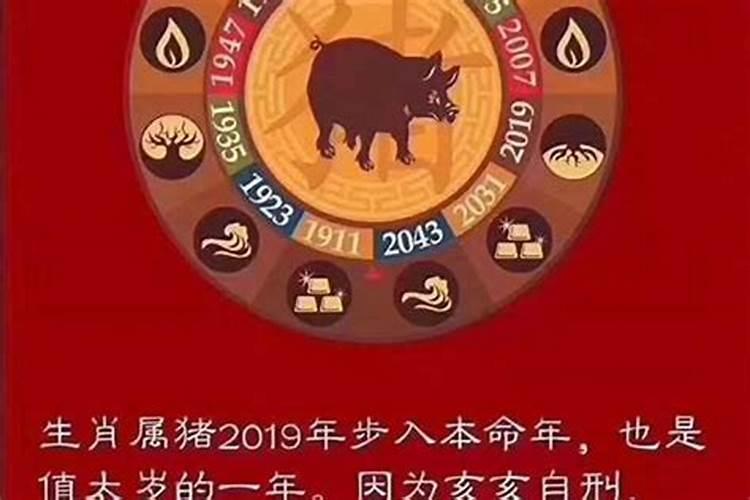 今年什么生肖年2023