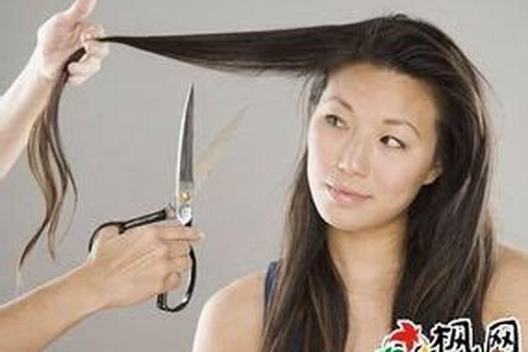 女性梦到剪头发是什么意思
