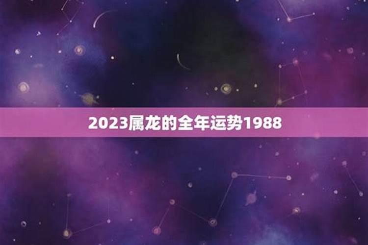 2023属龙的全年运势