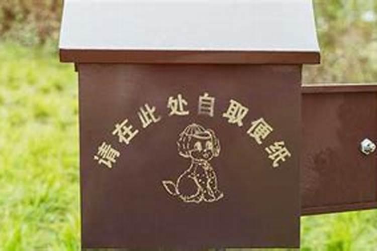 梦见捡屎是什么预兆周公解梦女人生孩子