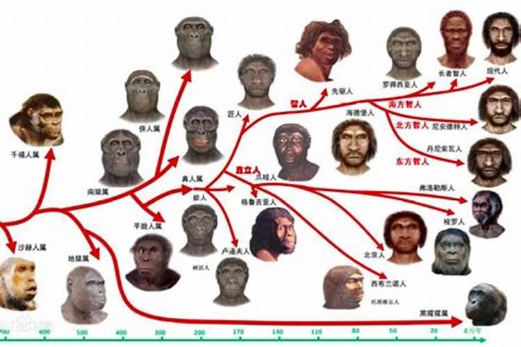 十二生肖哪个是人类的祖先