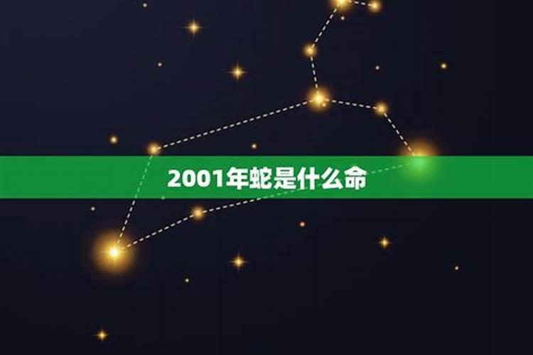 2001年属蛇人是什么命