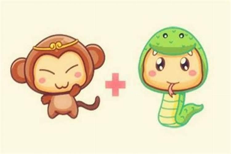 属猴和属蛇的婚姻如何呢