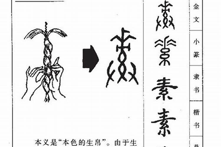 素字五行属什么的