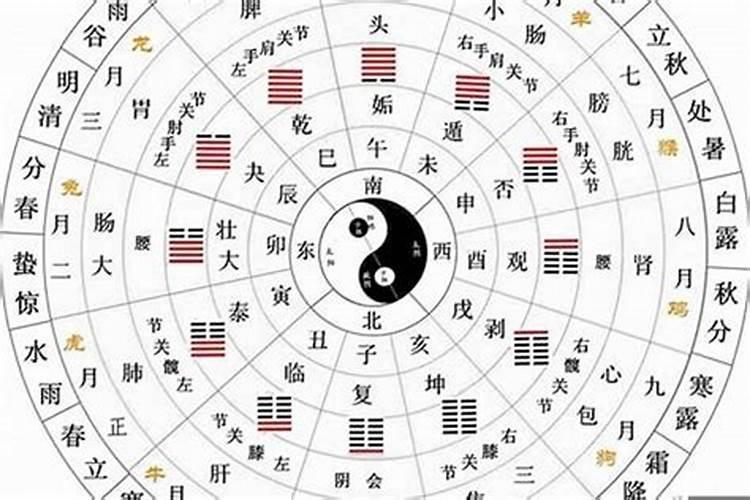 夕字五行属什么,名字里寓意