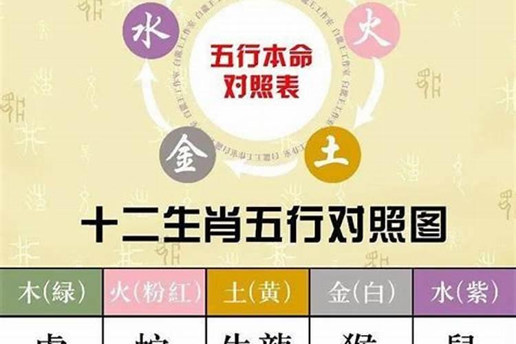 如果看自己五行所属