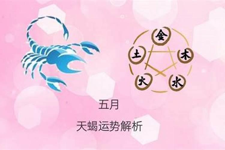 五月天蝎女爱情运势