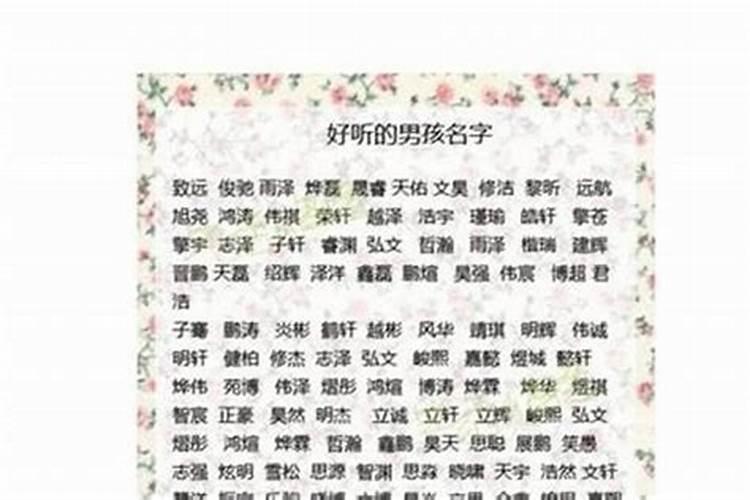 属羊取名字带什么字好男孩子