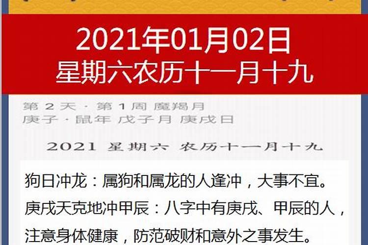 农历11月是什么生肖