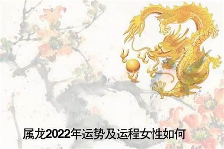 2023年属龙的财运和运气如何啊女生