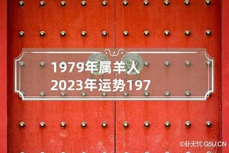 1979年在2022年的运气