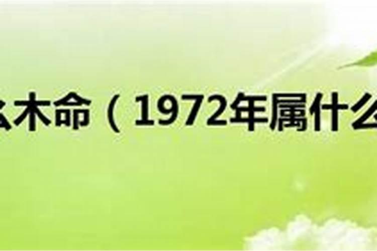 1972年是木命吗