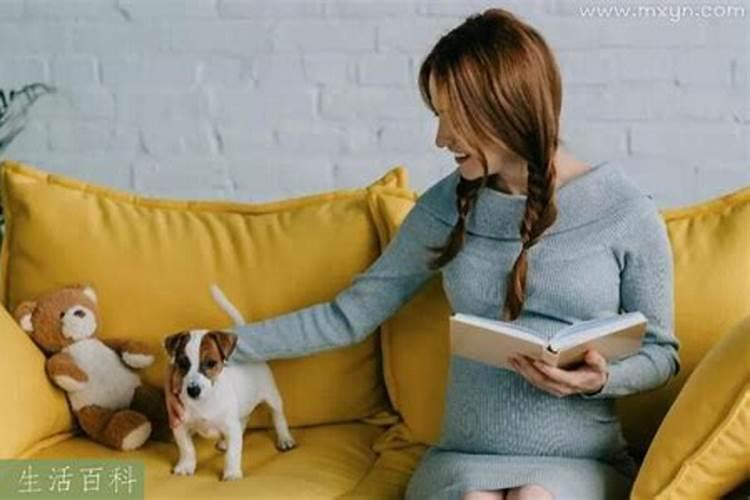 孕妇梦见自己狗咬意味着什么