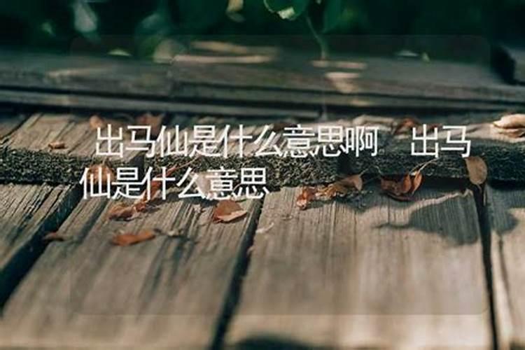 出马仙梦到狼是什么意思