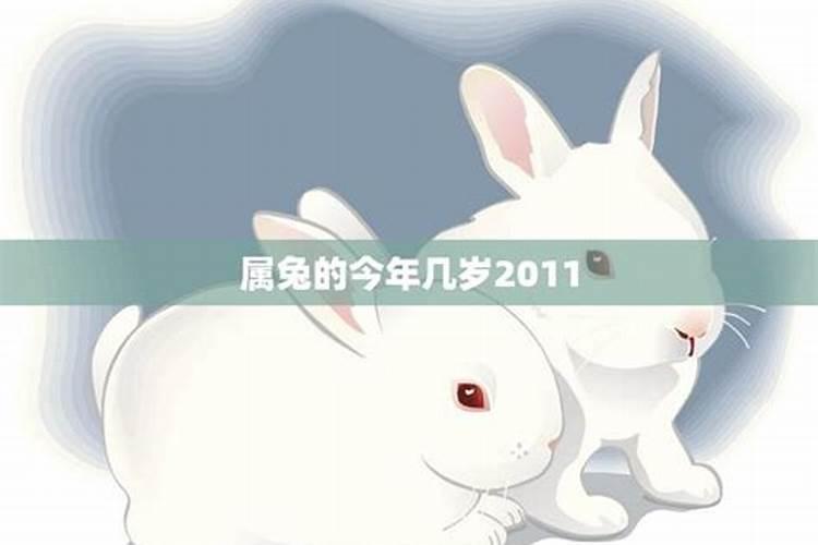 2011年属兔的今年几岁了